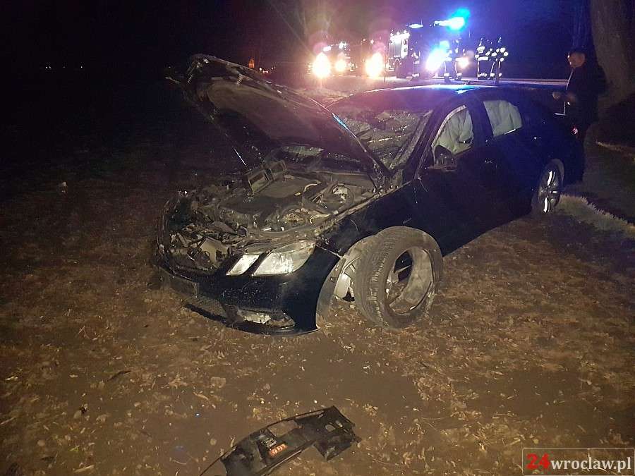 Mercedes zderzył się z dzikiem