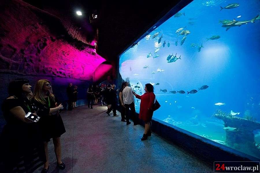 Afrykarium wieczorową porą. Co robią zwierzęta?