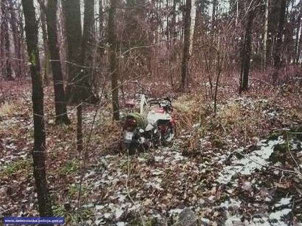 Okradł własnego brata, a „łup” ukrył w lesie