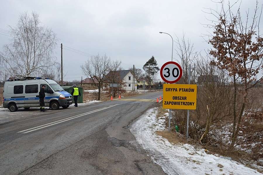 Kolejne ognisko ptasiej grypy w powiecie trzebnickim