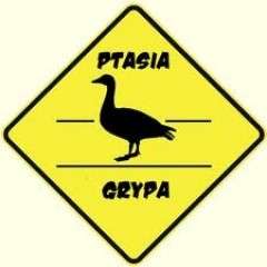 Ptasia grypa we Wrocławiu