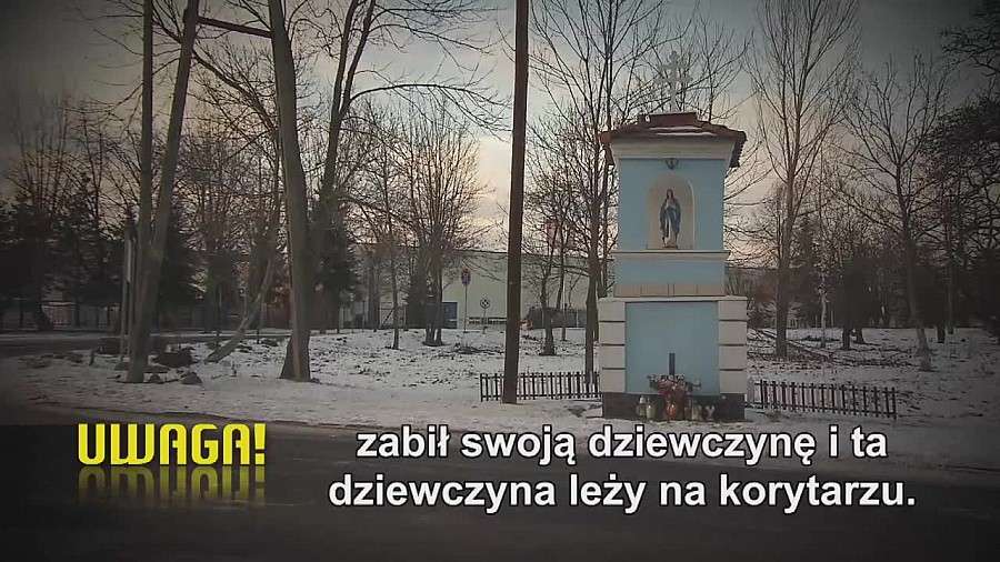 Dwudziestolatek zabił swoją byłą dziewczynę, zadając jej kilkadziesiąt ciosów nożem