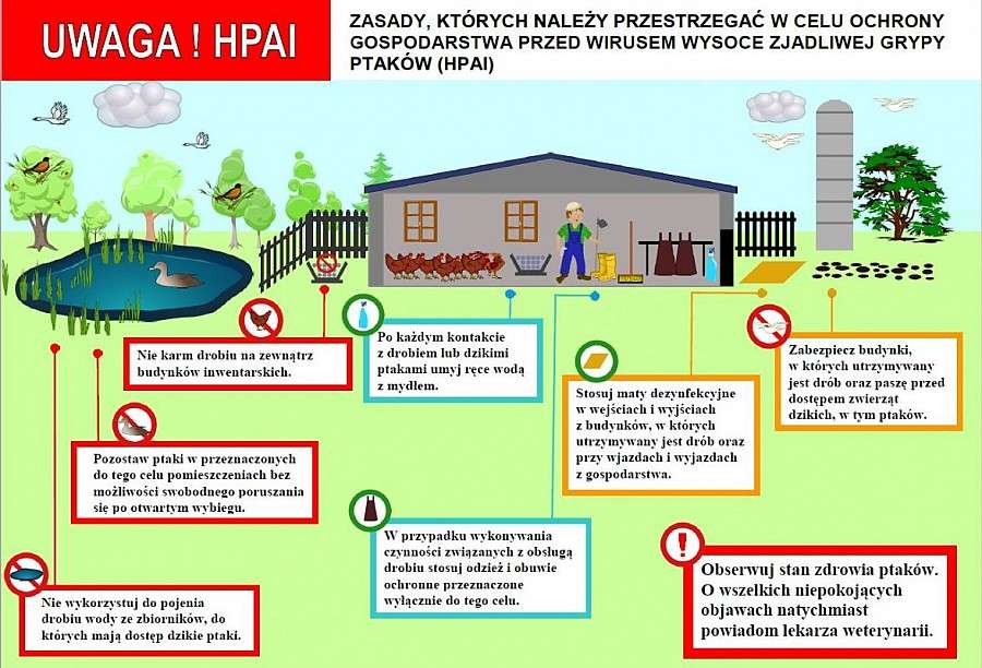 Ptasia Grypa na Dolnym Śląsku - komunikat