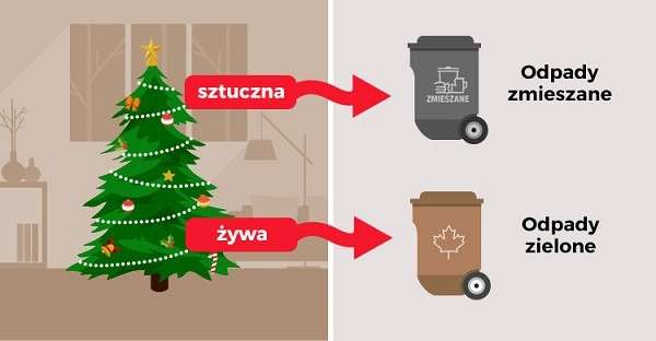 Co zrobić z choinką po świętach?