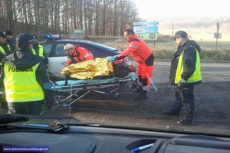 Uciekł po kolizji i zgubił się w lesie