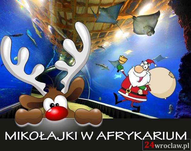 Mikołajkowe zwiedzanie Afrykarium nie tylko dla dzieci!