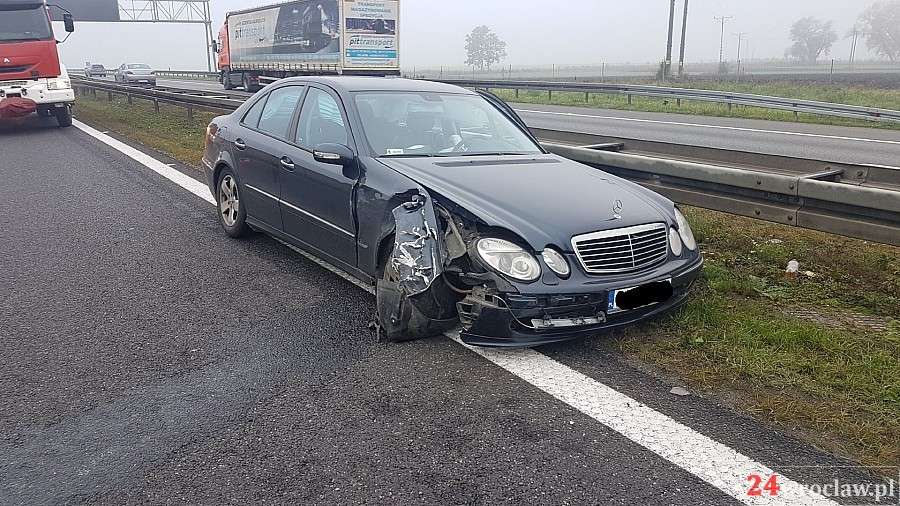 Ranny dzik zablokował autostradę