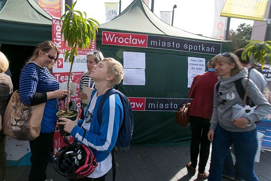 4 kontenery odpadów w  trakcie akcji Moje Drzewo 2016