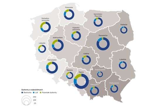 Regionalne różnice w konkurencyjności dyskontów.