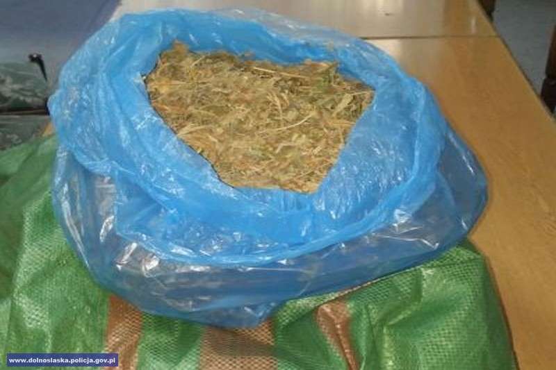 Ponad 6 tys. porcji marihuany ukrył w mieszkaniu kuzyna