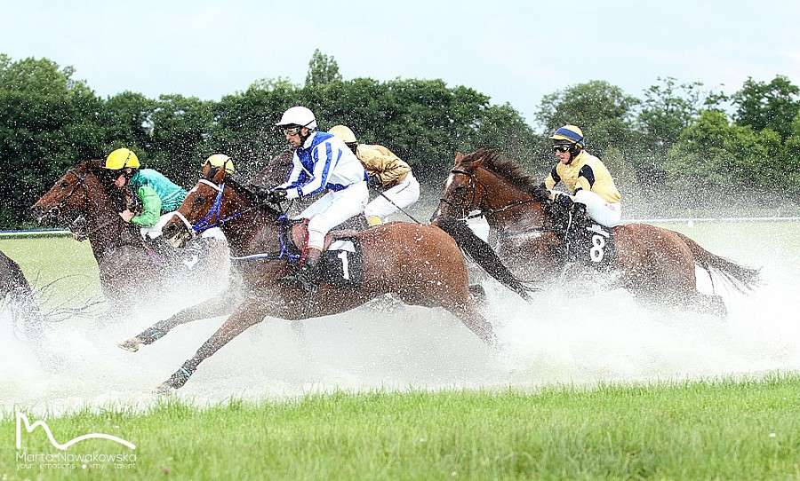 Pojedynek faworytów podczas Ladies Day