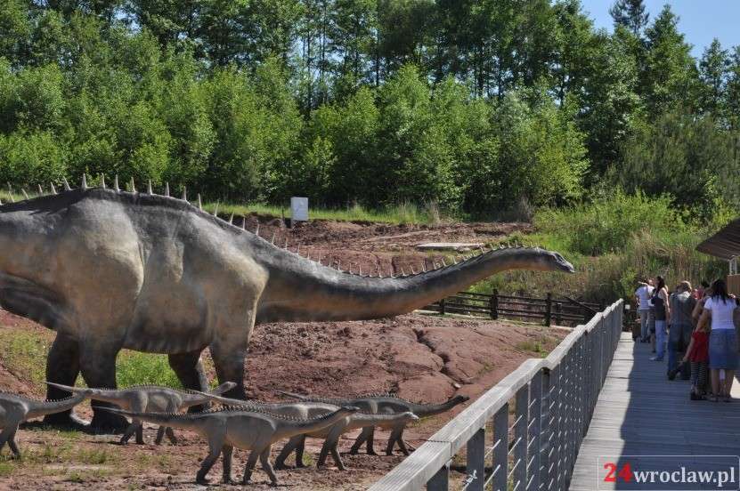 Wakacje nie tylko z dinozaurami