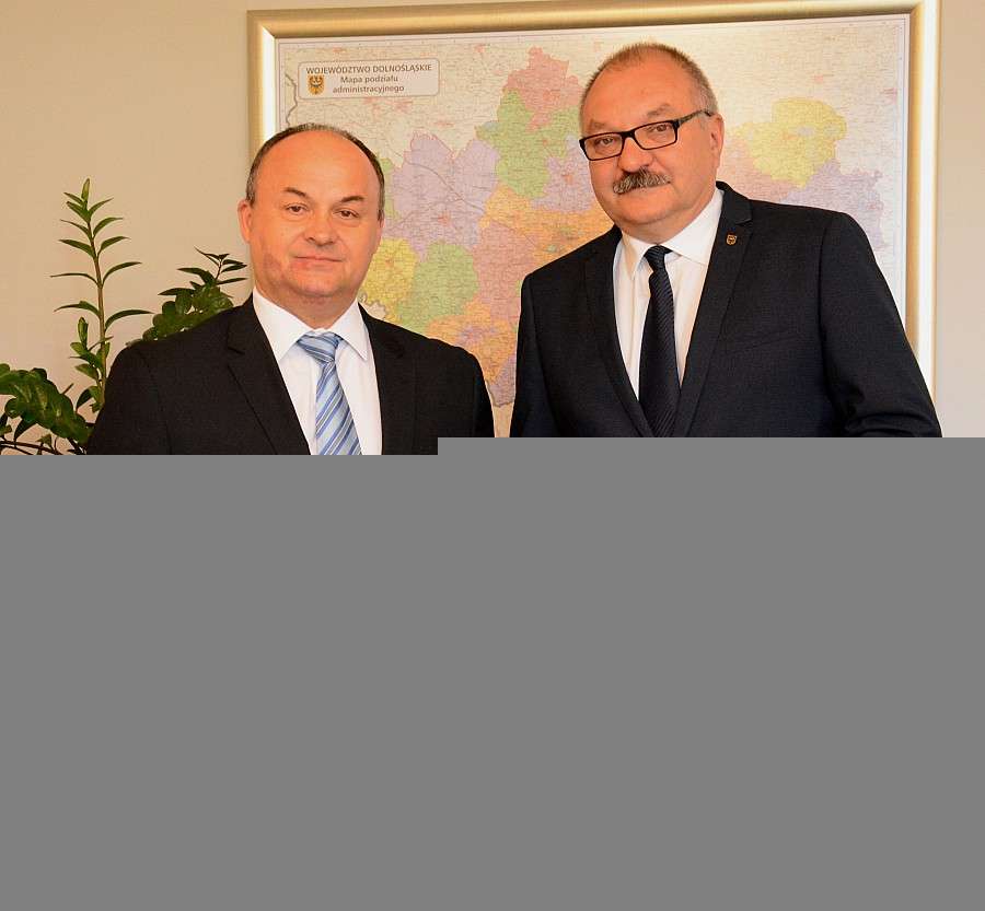 Spotkanie Marszałka z Ambasadorem Bośni i Hercegowiny