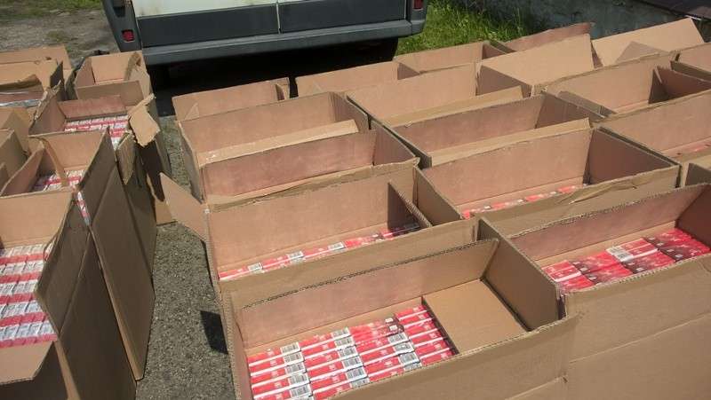 Ponad 250 funkcjonariuszy 4 służb rozbiło zorganizowaną grupę przestępczą