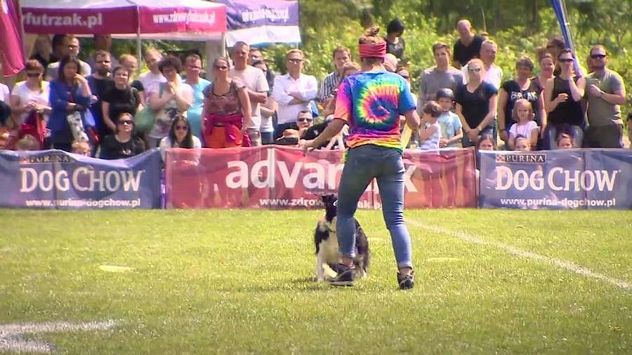„Wielkie widowisko i wspaniała technika”. Zawody dogfrisbee we Wrocławiu