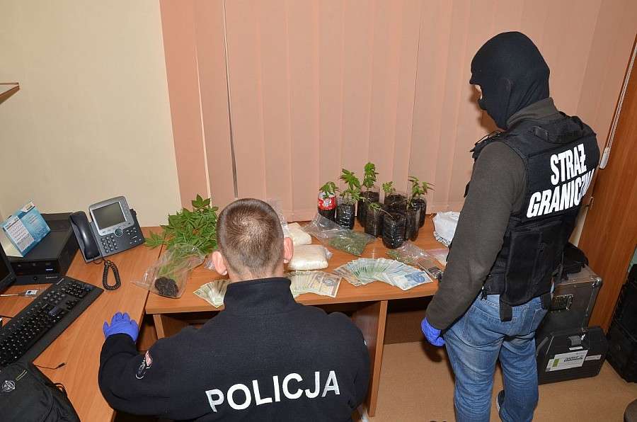 Wpadka narkotykowego dilera
