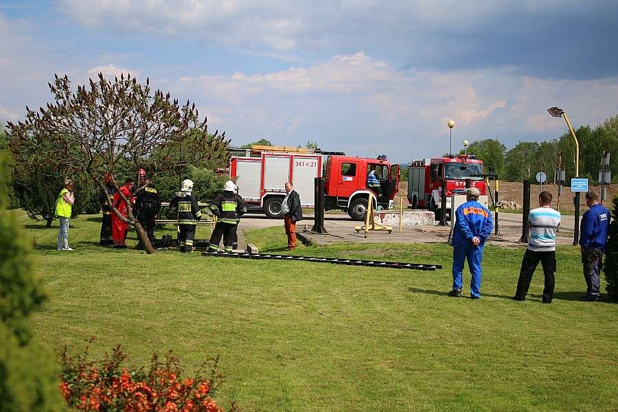 Martwy płód w okolicach Jeleniej Góry