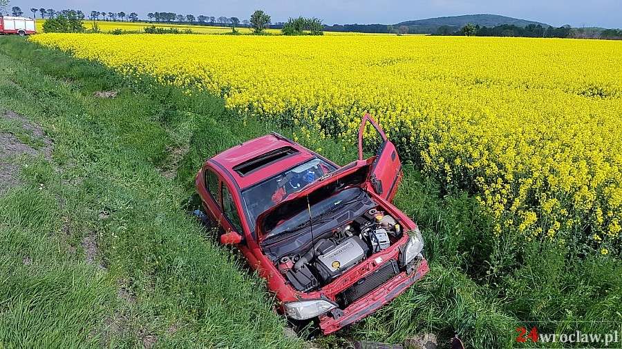 Wypadł z drogi i dachował