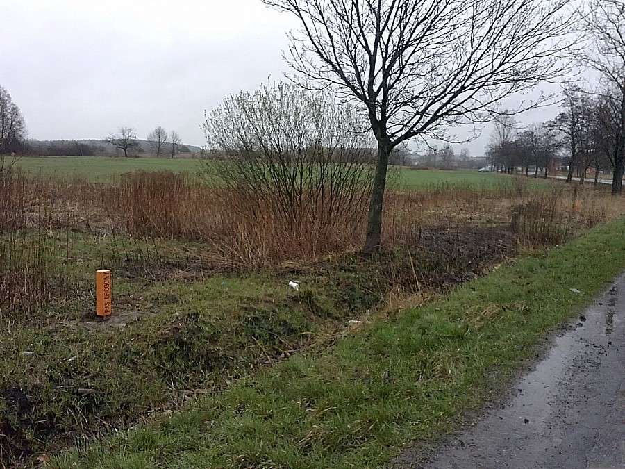   Wyznaczanie pasa drogowego na drodze Oleśnica-Trzebnica