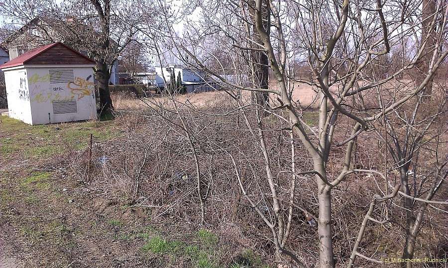 Kłokoczyce: Tu na razie jest ściernisko, ale…są szanse na skwerek!