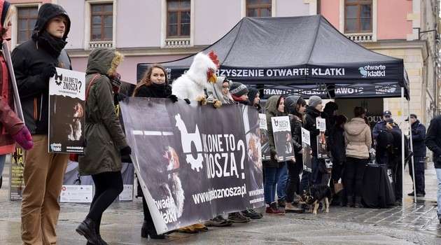 Jak one to znoszą?