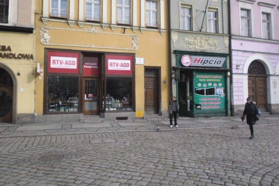 Zostawili psy w mieszkaniu i wyjechali