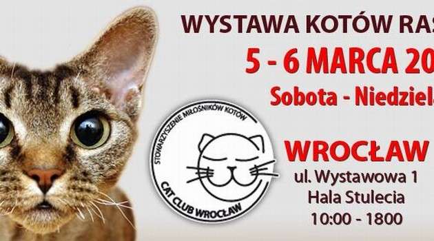 Kocia arystokracja we Wrocławiu