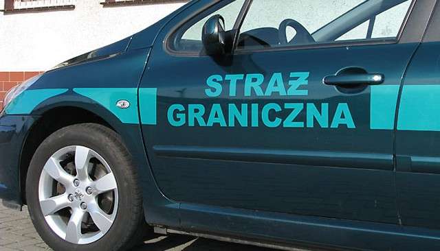 Nielegalni Ukraińcy