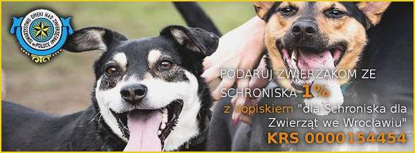 1 procent dla bezdomnych zwierząt