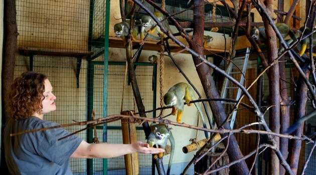 Wielkie liczenie w zoo zakończone