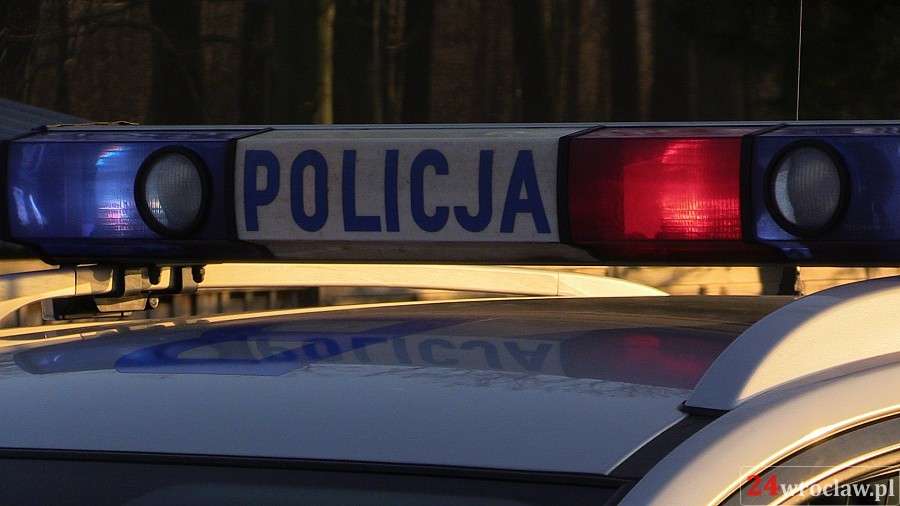 Policjanci zlikwidowali nielegalną uprawę konopi – zabezpieczono 130 sadzonek oraz 75 litrów oleju, 