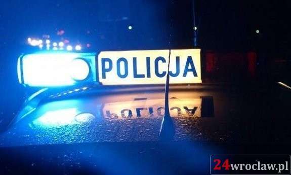 Policjanci zatrzymali złodzieja, który wyrwał kobiecie torebkę