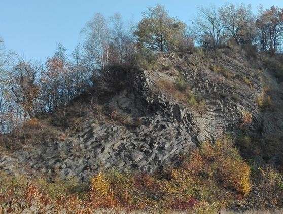 Wycinka drzew na Wilczej Górze