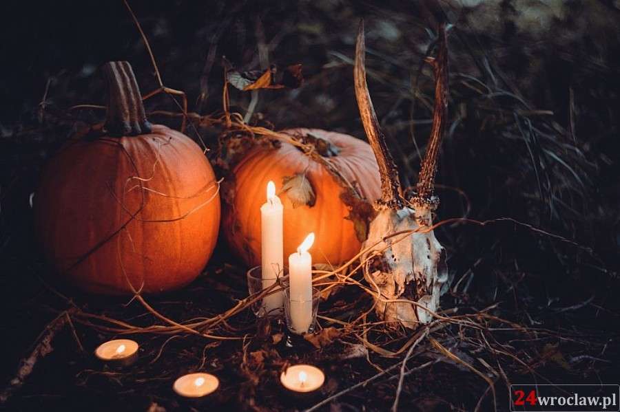 Mroczny Wrocław – nowa edycja na Halloween