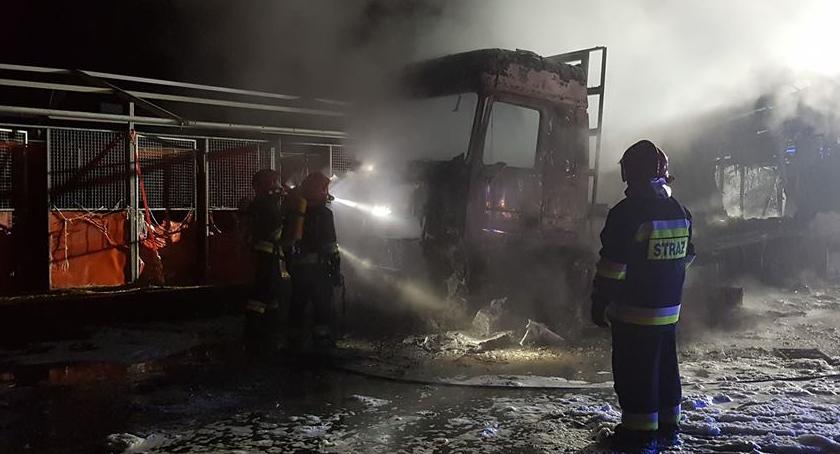 Spłonął samochód na terenie stadniny koni w Morawie