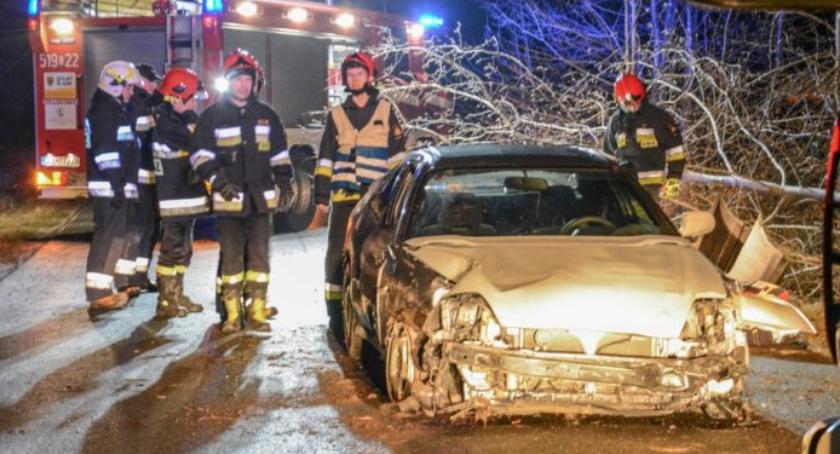 Osobówka wypadła z drogi i uderzyła w drzewo