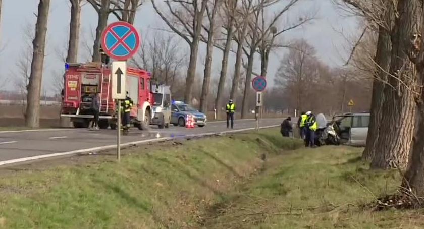 Dwa wypadki przez jelenia. Zginęła jedna osoba, 6 zostało rannych