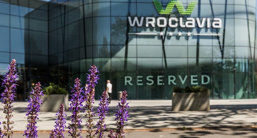 Wroclavia Summer Festival. Stand-up, muzyka, teatr i taniec