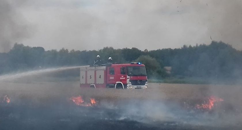 Duży pożar ścierniska pod Wrocławiem