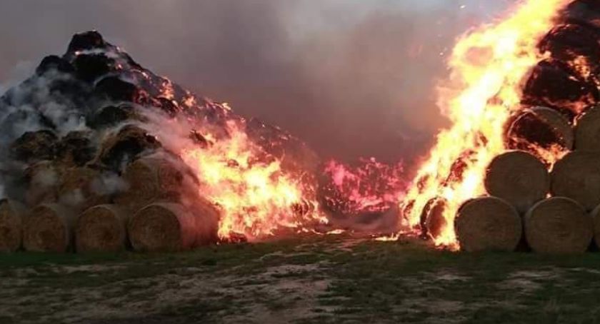 Ogromny pożar słomy przy fabryce pelletu w Jordanowie Śląskim