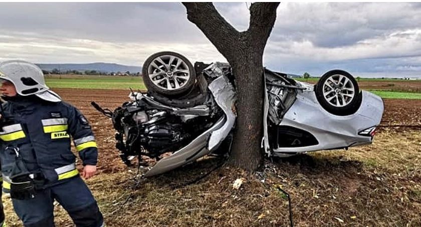 Kierowca cudem uniknął śmierci! Jego auto zawinęło się na drzewie.