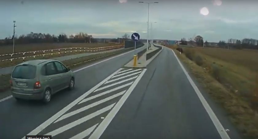 Co ten człowiek wyrabia ? - Obwodnicą pod prąd (video)