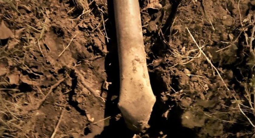 Próbował wyrwać znak drogowy by sprzedać go na złom