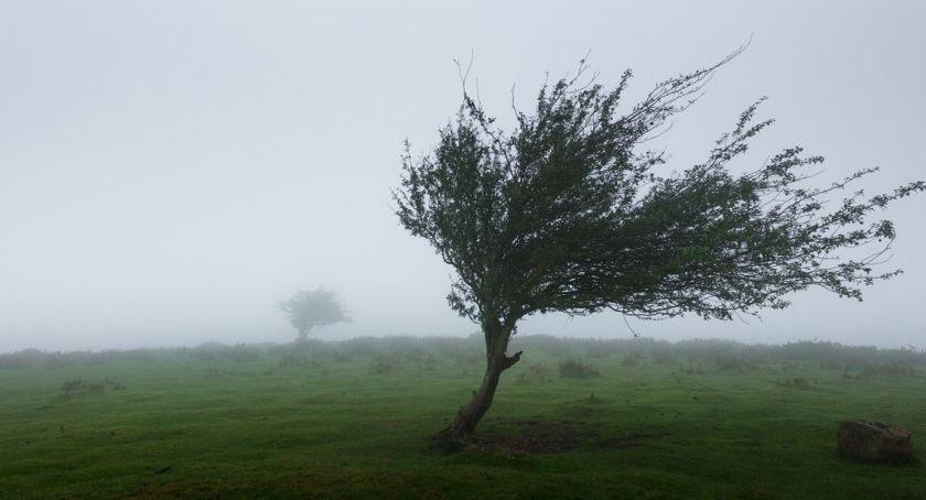 Huragan Ciara i niż Sabina nadciągają na Dolny Śląsk. Najwyżyszy stopień ostrzeżenia meteo.