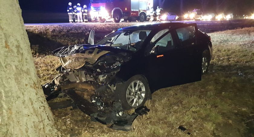 Wjechał w drzewo na krajowej 