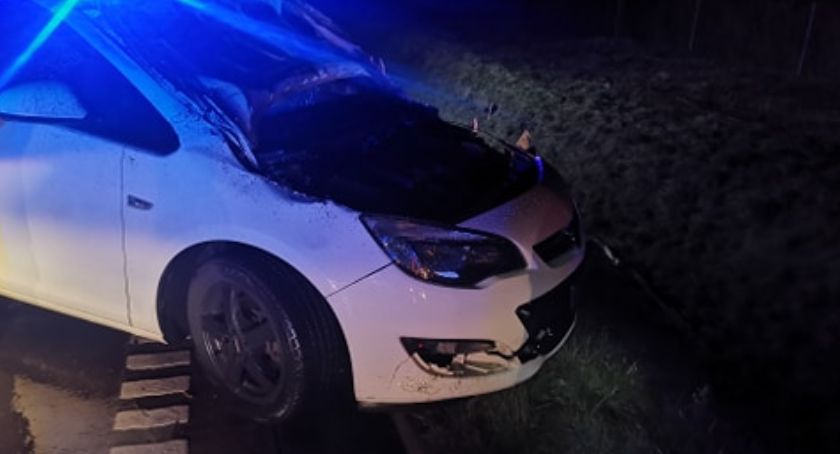 Samochód wjechał w przewrócone drzewo