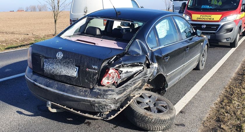 Bażant na drodze powodem zderzenia dwóch pojazdów