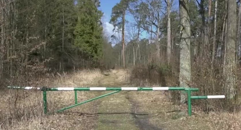Koniec zakazu wstępu do lasów i na tereny zielone