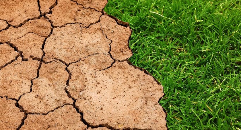 Światowy Dzień Ziemi. Każdy z nas może zadbać o środowisko naturalne