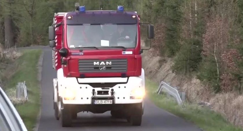 23 zastępy, 100 strażaków, trzy samoloty. Pożar Wielkiego Lasu Lubańskiego na Dolnym Śląsku